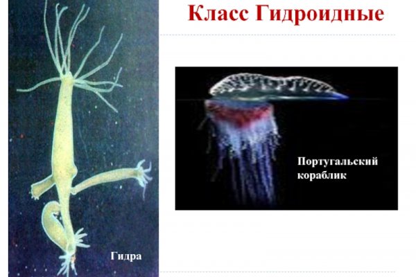 Что продают на кракене