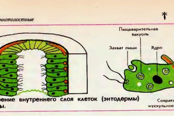 Кракен зайти